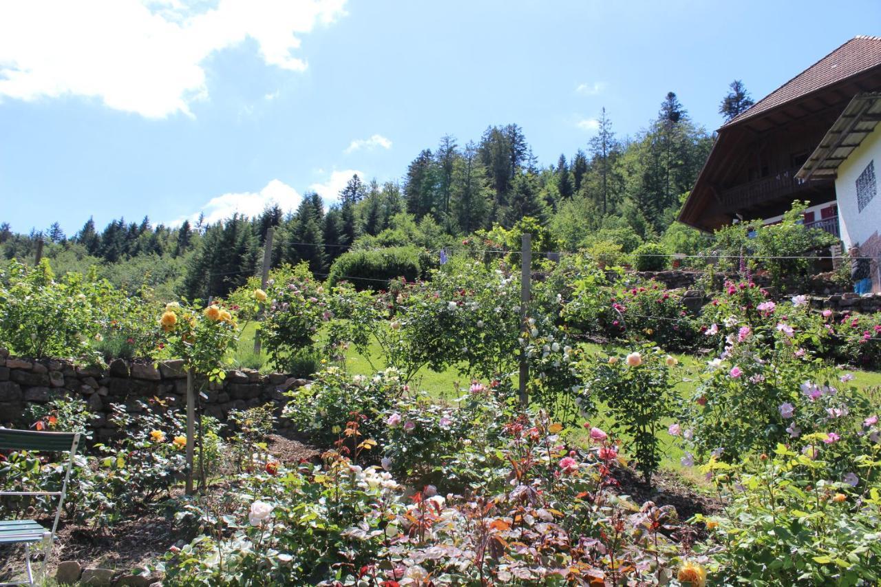 The Moosbach Garden Guest House Nordrach Bagian luar foto