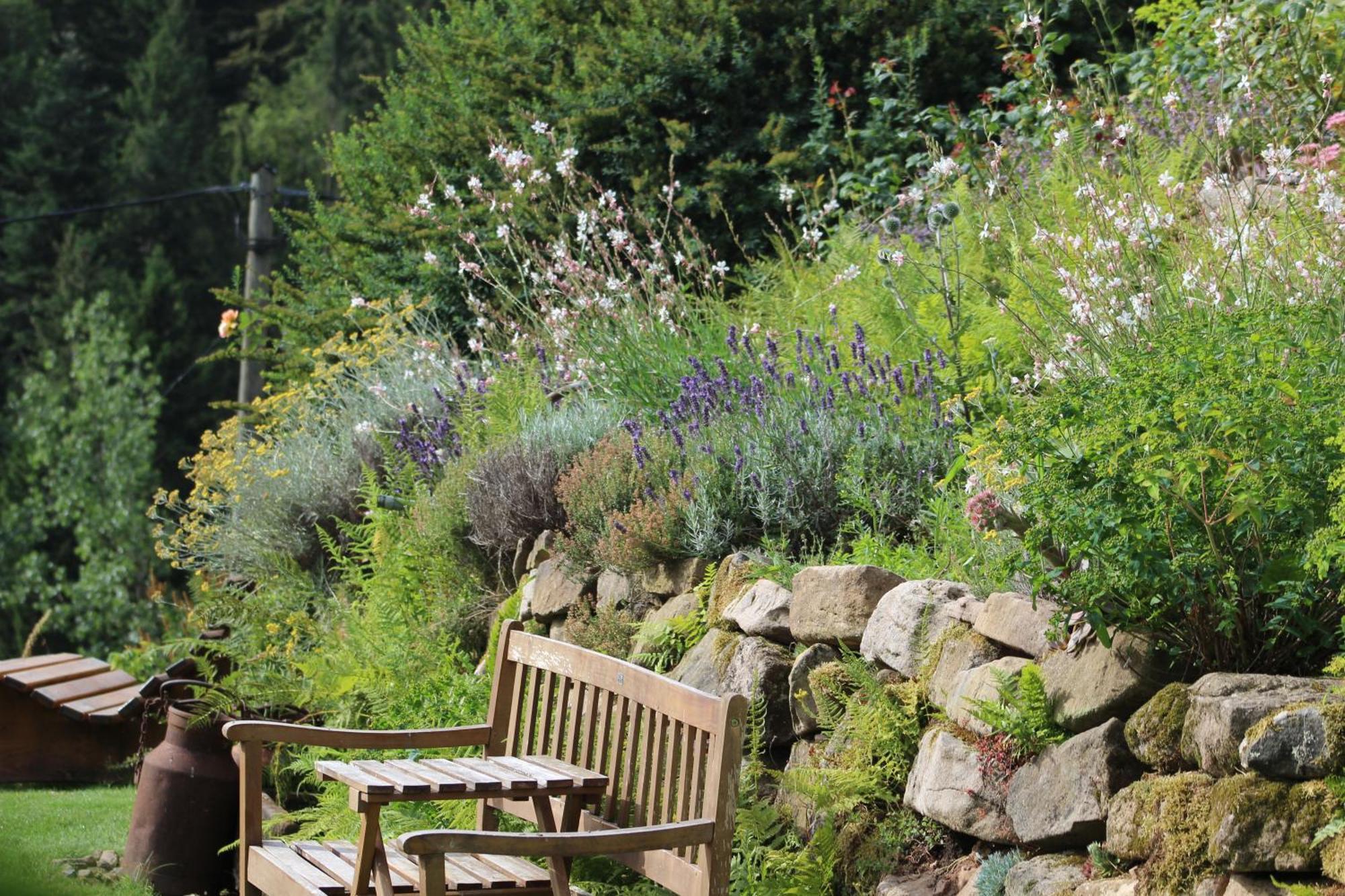The Moosbach Garden Guest House Nordrach Bagian luar foto