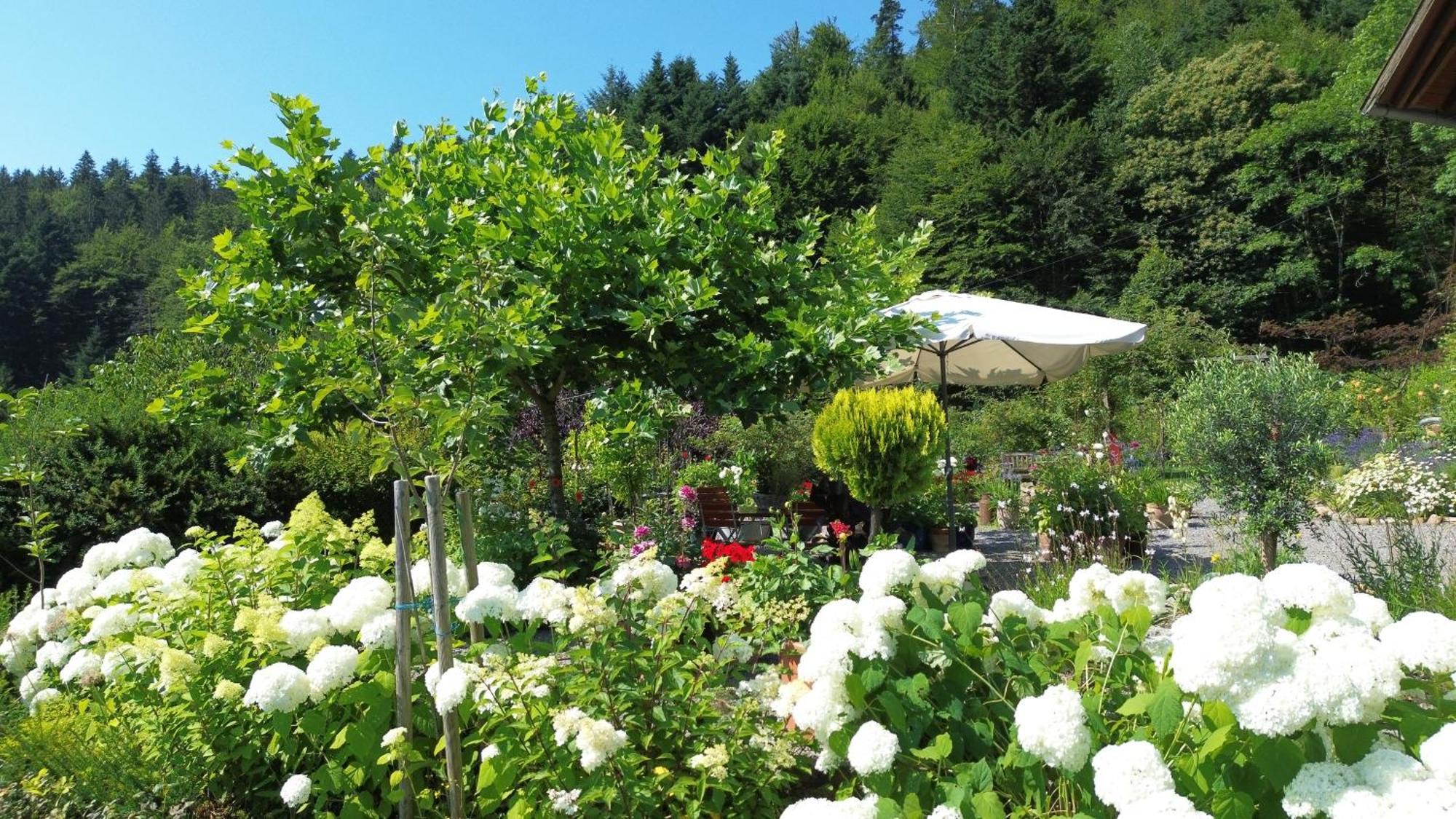 The Moosbach Garden Guest House Nordrach Bagian luar foto